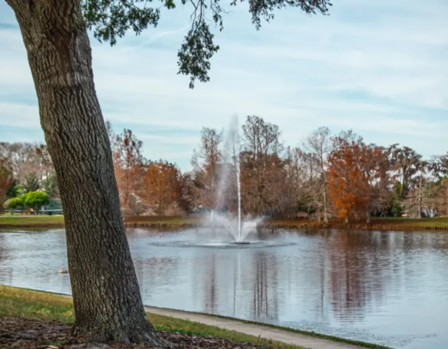 A quiet lake with a fountain, ringed by trees, in a Florida community